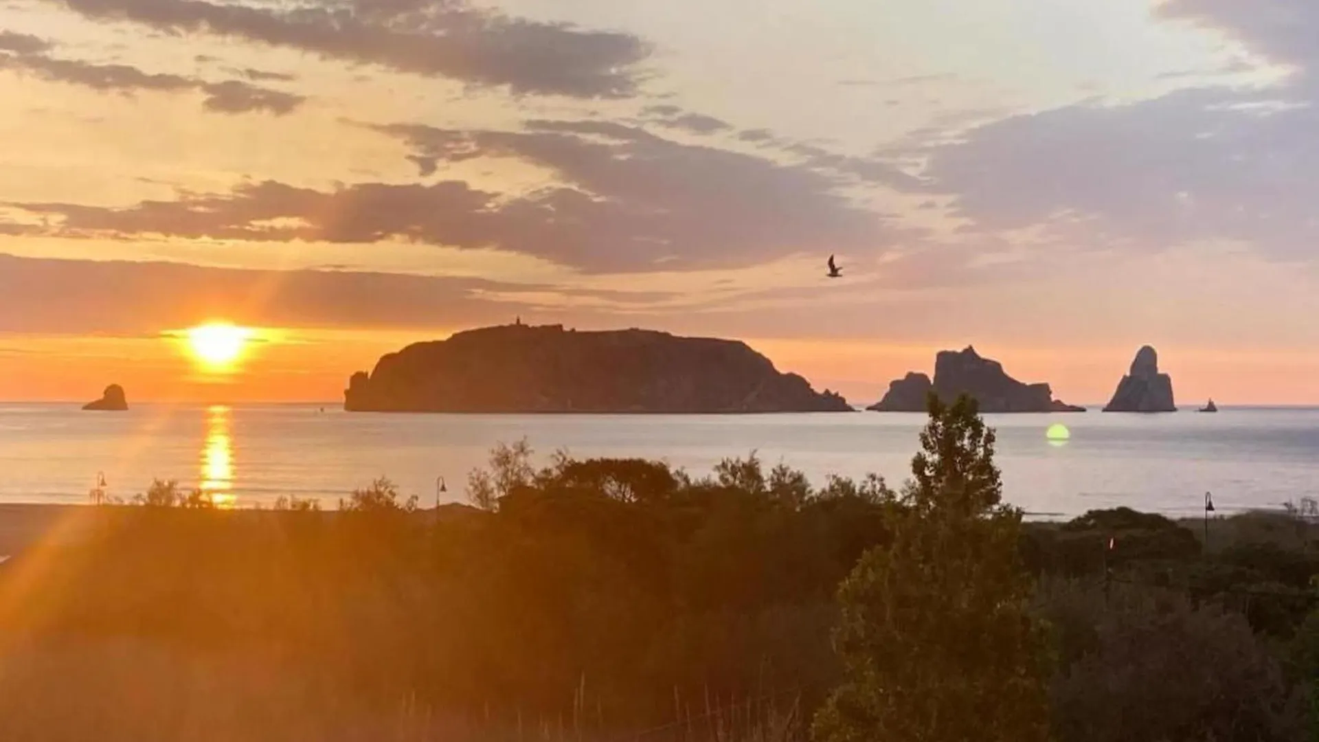 Jardins Del Mar 81 Διαμέρισμα L'Estartit